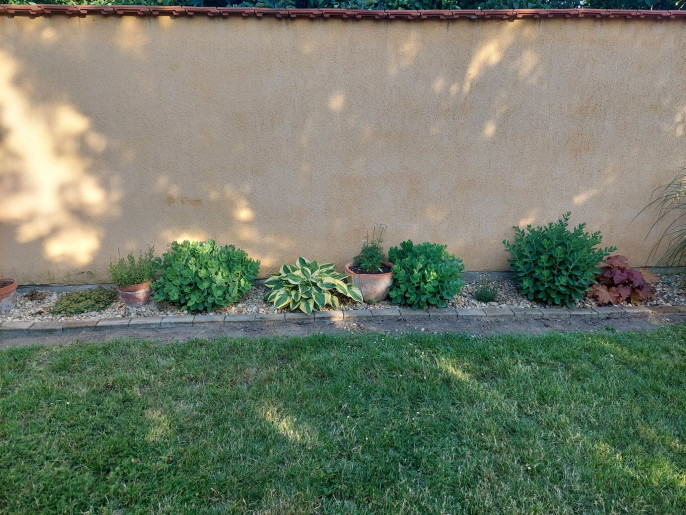 Bodza Apartman Gyula - 13