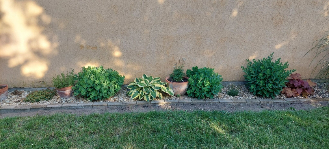 Bodza Apartman Gyula - 13