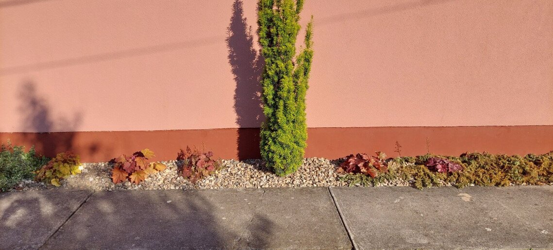 Bodza Apartman Gyula - 15