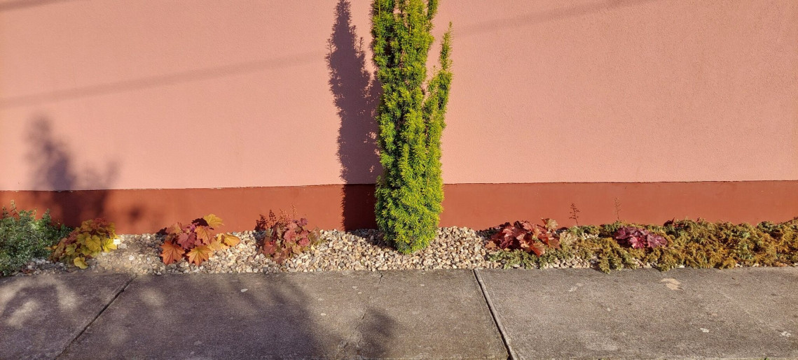 Bodza Apartman Gyula - 15