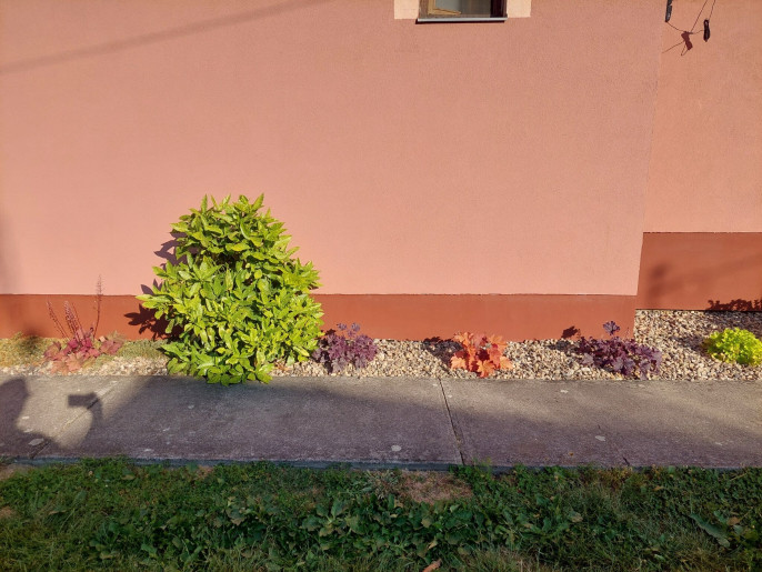 Bodza Apartman Gyula - 16