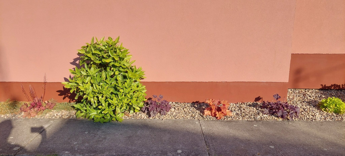 Bodza Apartman Gyula - 16