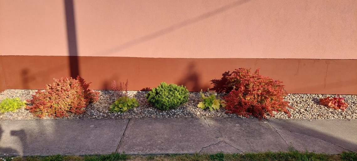 Bodza Apartman Gyula - 17