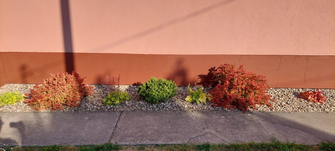 Bodza Apartman Gyula - 17