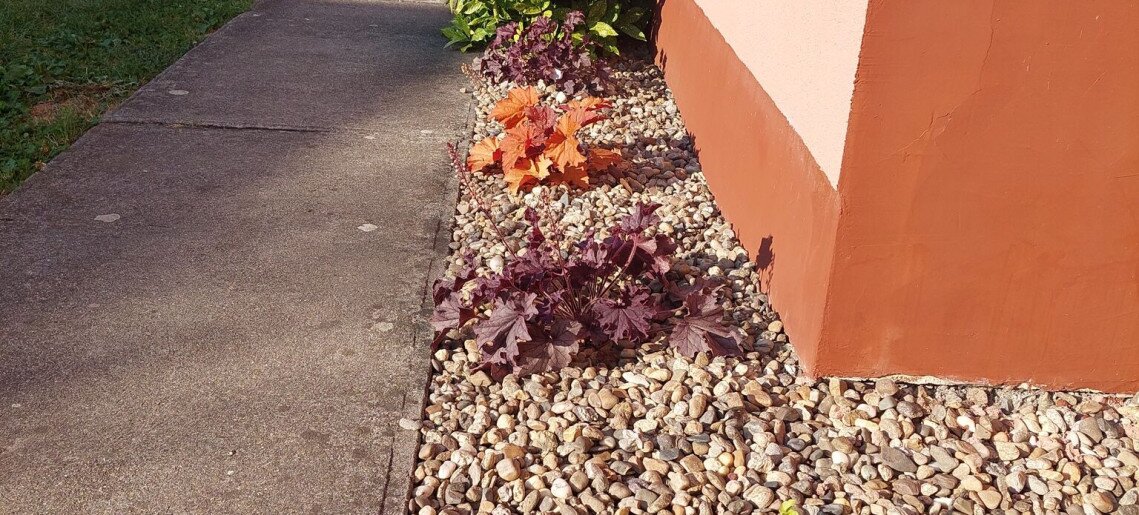 Bodza Apartman Gyula - 19