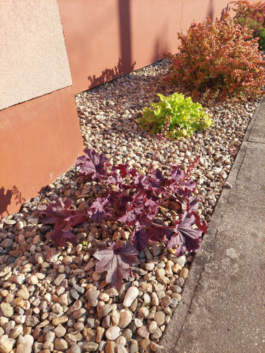 Bodza Apartman Gyula - 20