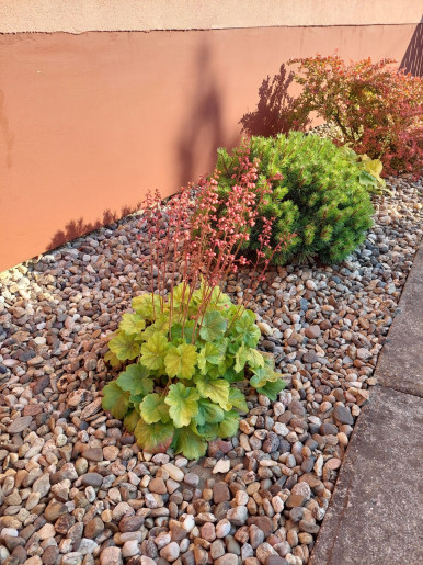 Bodza Apartman Gyula - 21