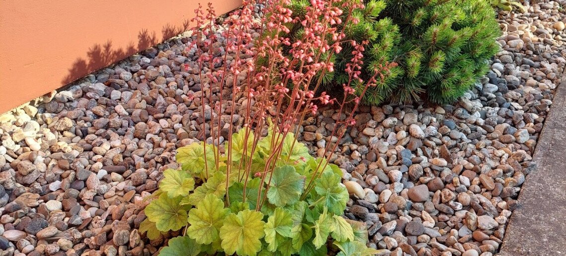 Bodza Apartman Gyula - 21