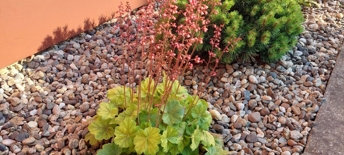 Bodza Apartman Gyula - 21