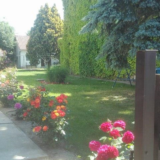 Florentina Apartmanok Gyula - 3