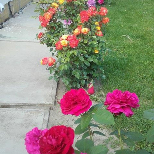 Florentina Apartmanok Gyula - 4