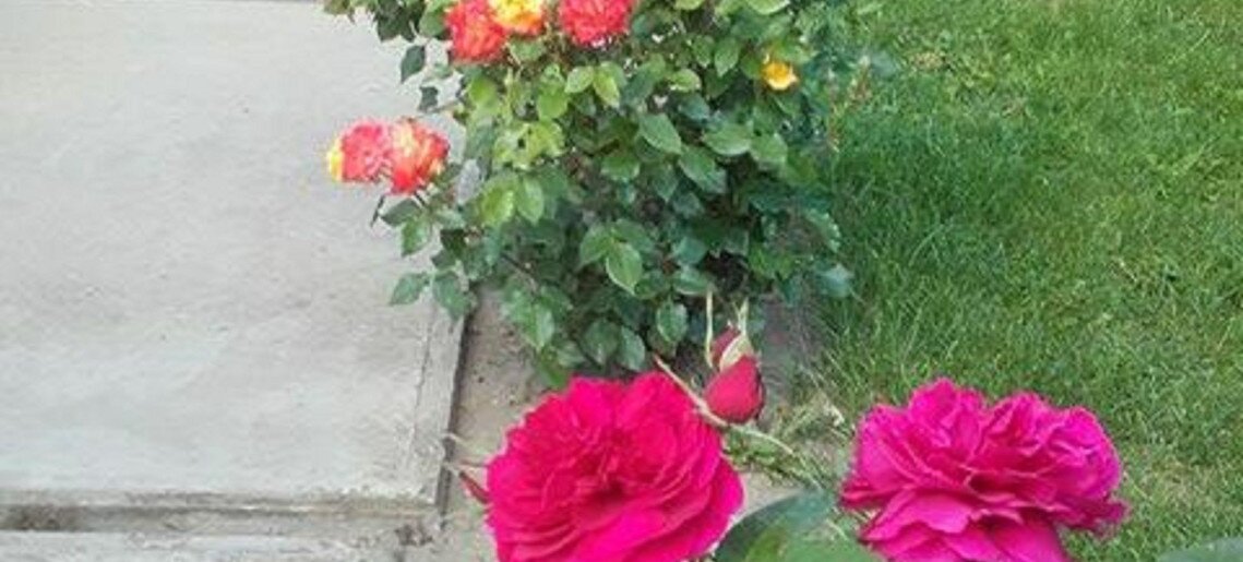 Florentina Apartmanok Gyula - 4