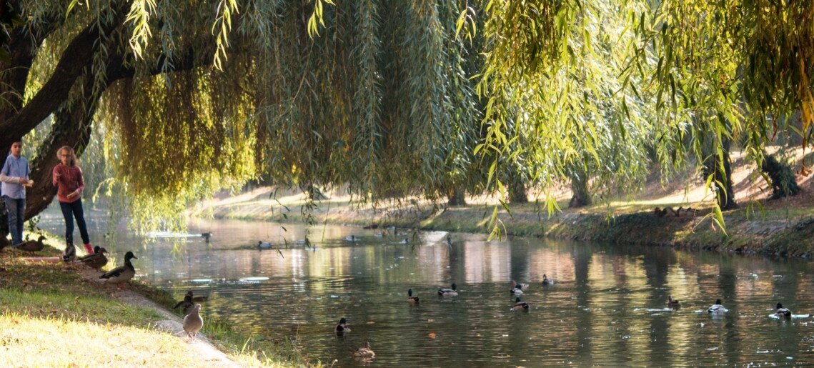 Golden Apartman Gyula - 8