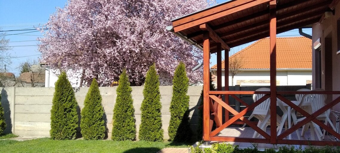 Liliom Apartman Gyula - 42