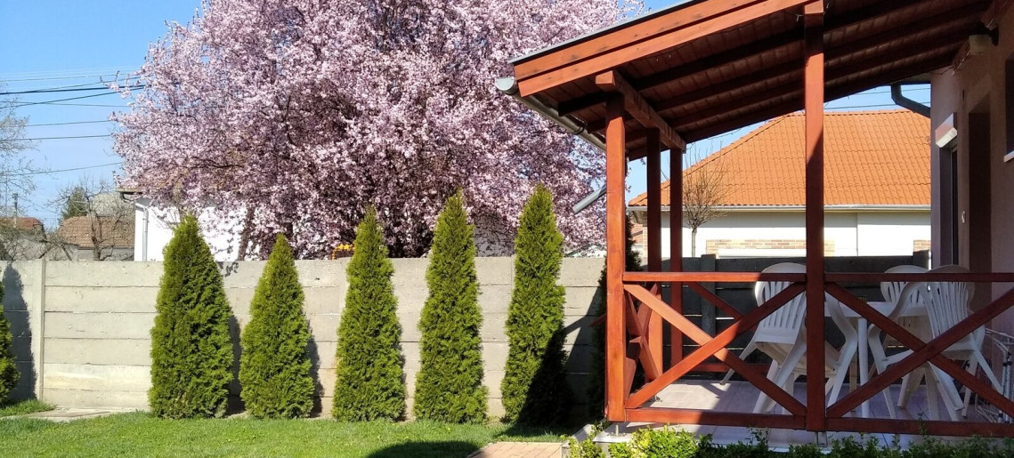 Liliom Apartman Gyula - 42