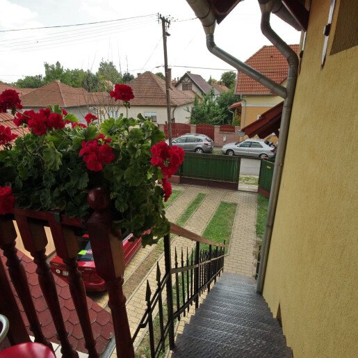 Pippi Villa Gyula - 3