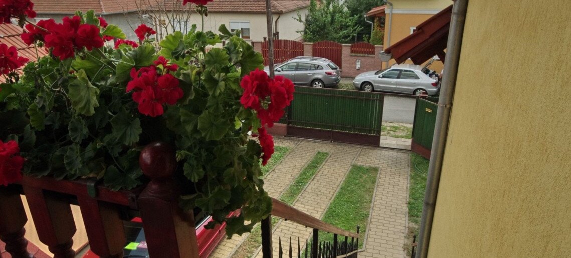 Pippi Villa Gyula - 3