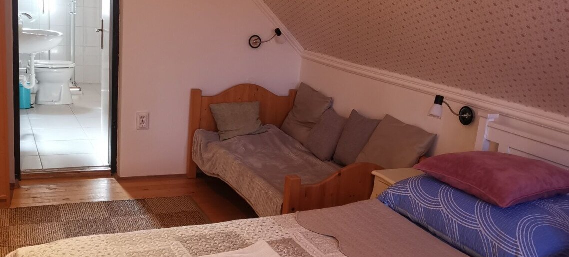 Pippi Villa Gyula - 29