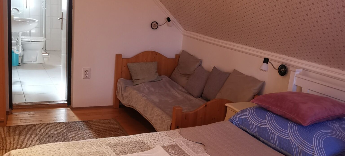 Pippi Villa Gyula - 29