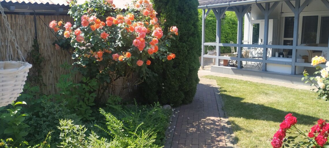 Villa Harmónia Apartman Gyula - 42