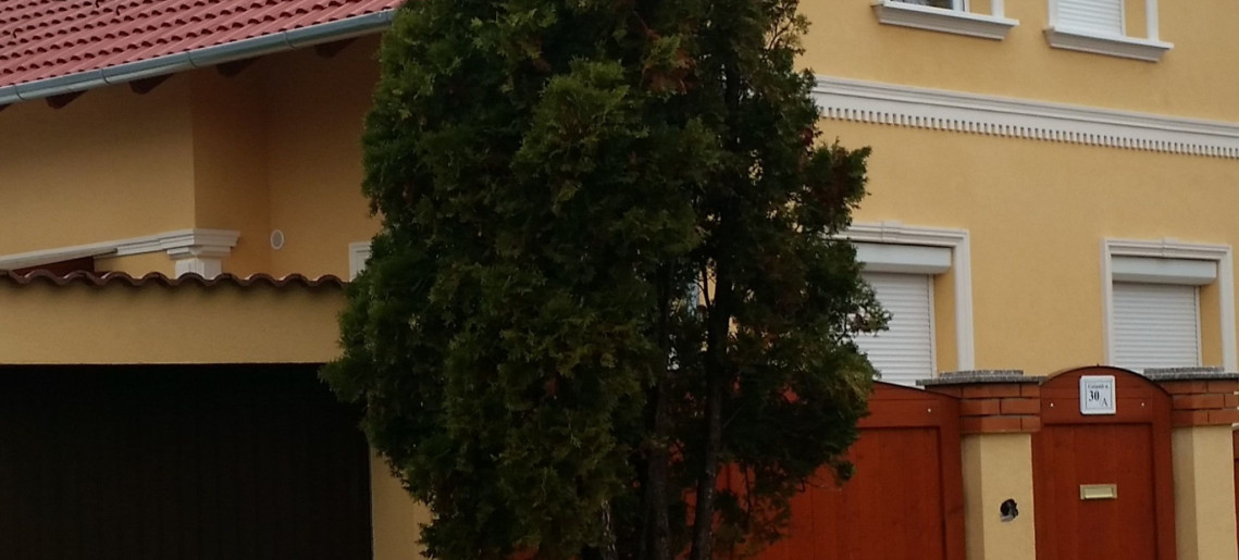 Central Aqua Apartman Gyula - 5