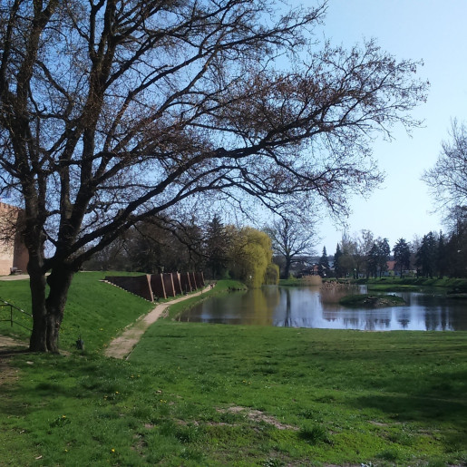 Szamócás Apartman Gyula - 5