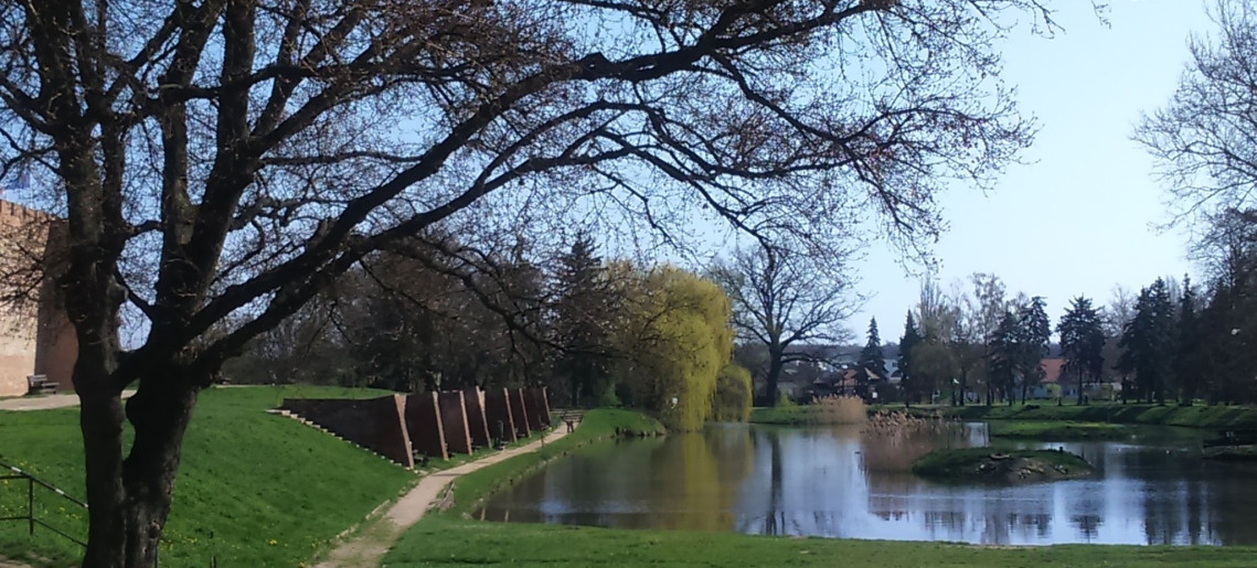 Szamócás Apartman Gyula - 5