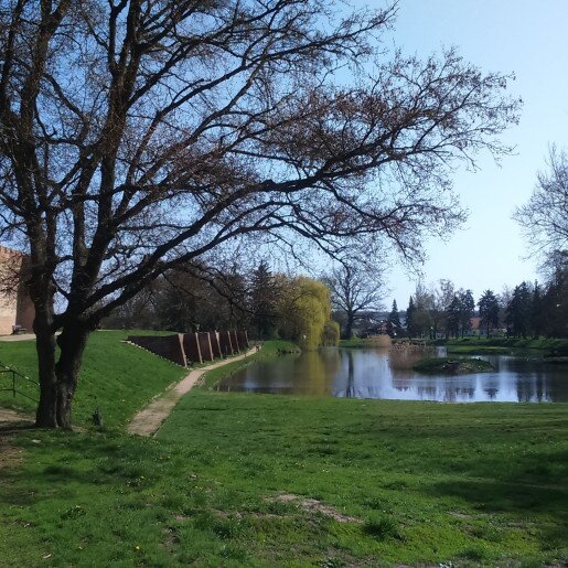 Szamócás Apartman Gyula - 5