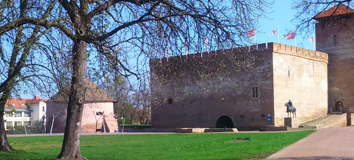 Szamócás Apartman Gyula - 6