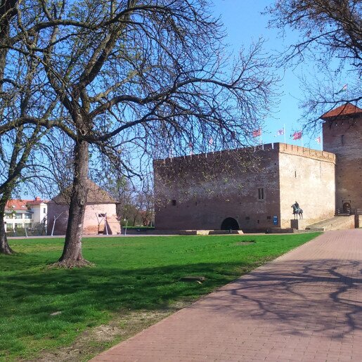 Szamócás Apartman Gyula - 6