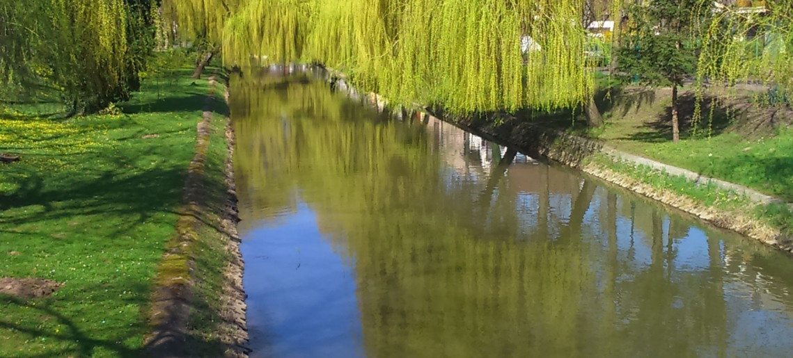 Szamócás Apartman Gyula - 8