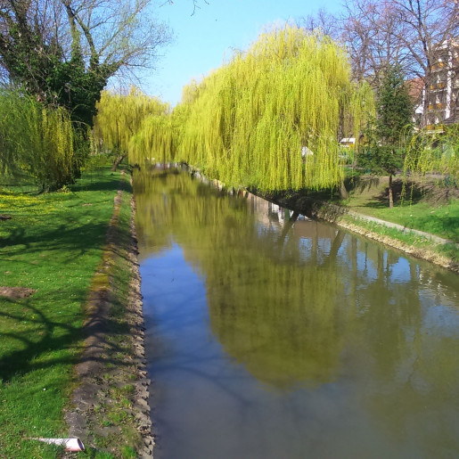 Szamócás Apartman Gyula - 8