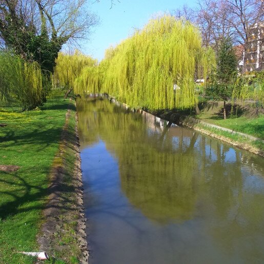 Szamócás Apartman Gyula - 8