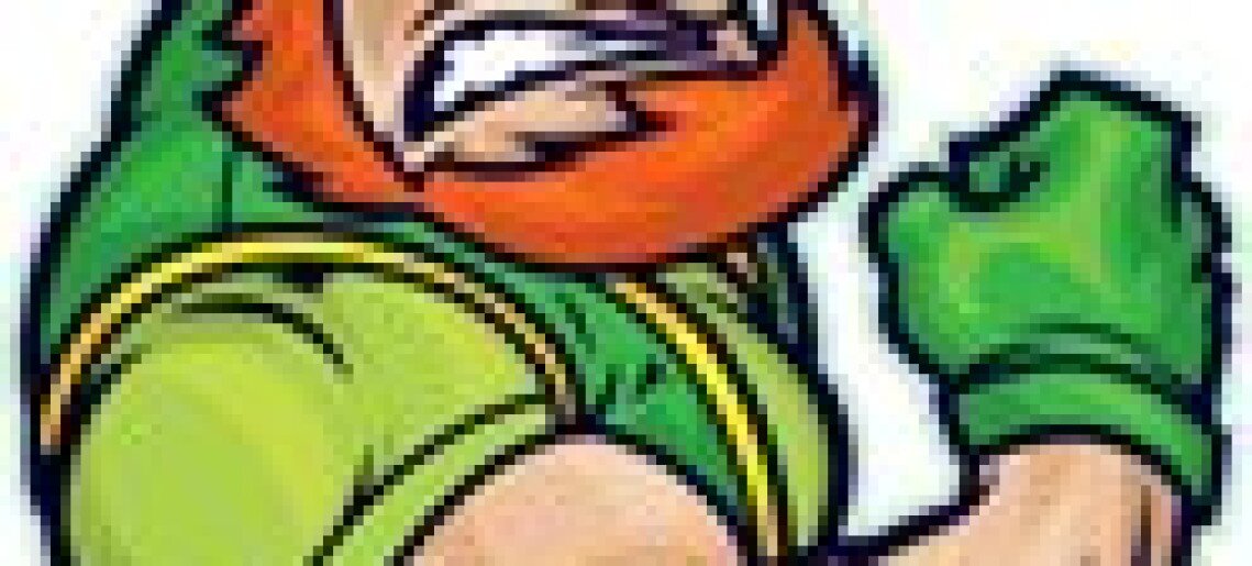 The Leprechaun's Birthday