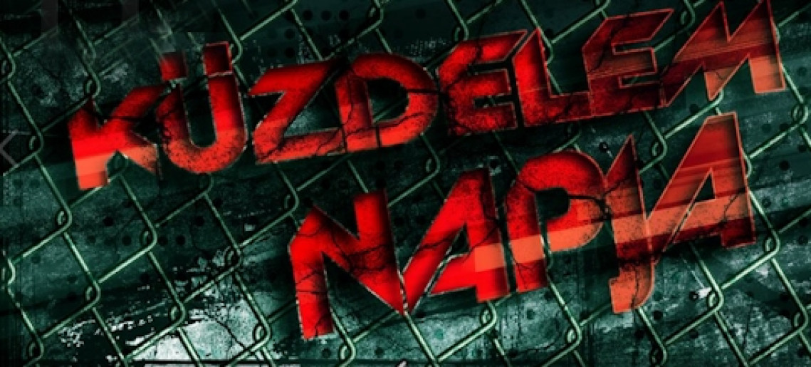 Küzdelem napja IV. - MMA, K1