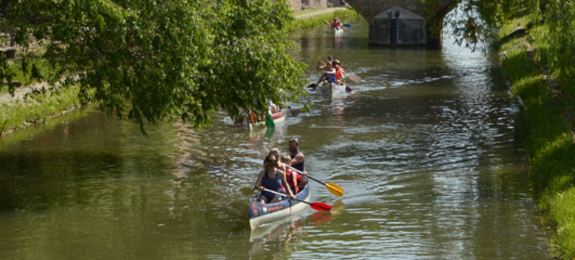 Evezés az Ó-Fehér-Körösön