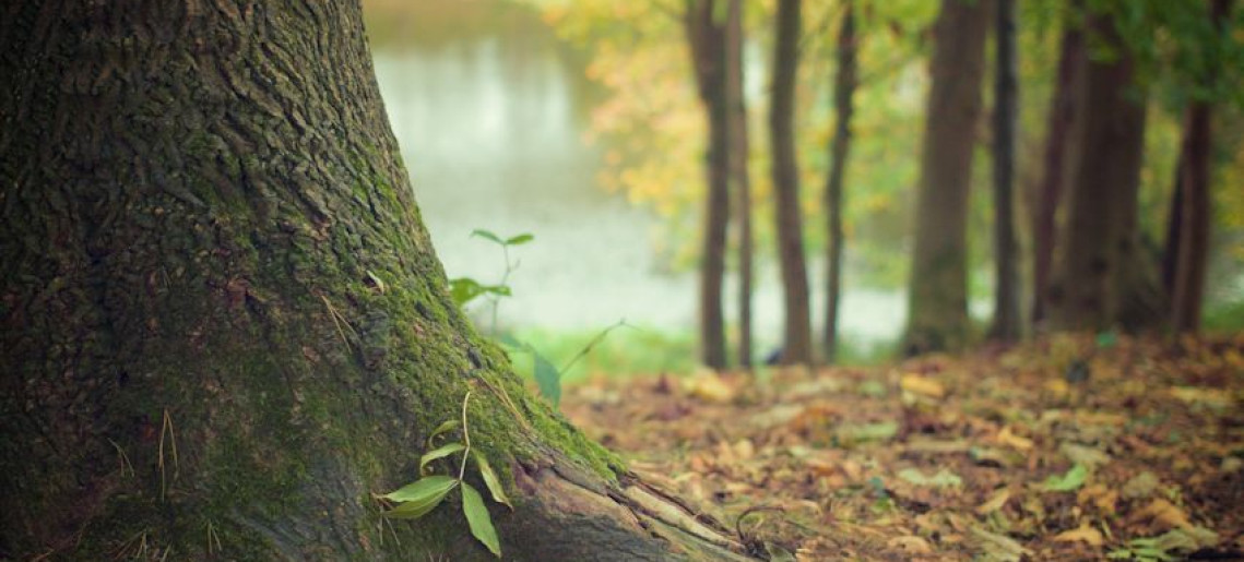 Kirándulás a természetben