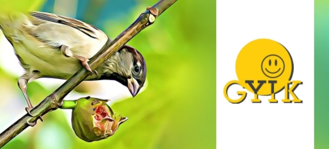 Tavaszváró ügyeskedés