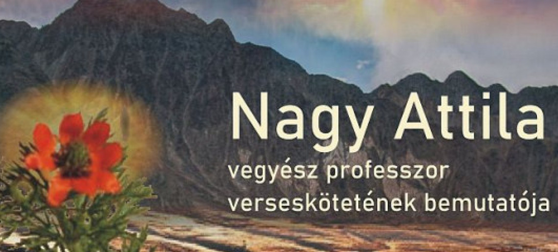 Hullámver(é)sben Aranyhídon - könybemutató