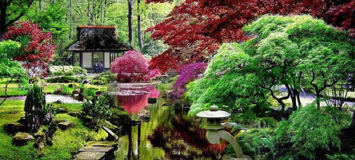 Japán (kert)kultúra magyar szemmel