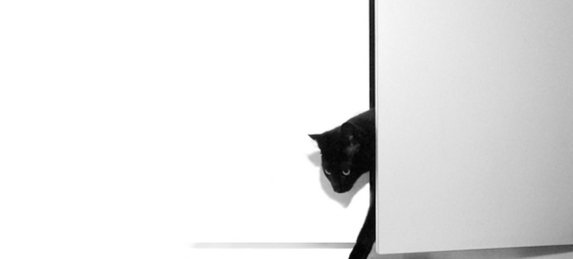 Szabadtéri fotókiállítás a gyulai kastélyparkban