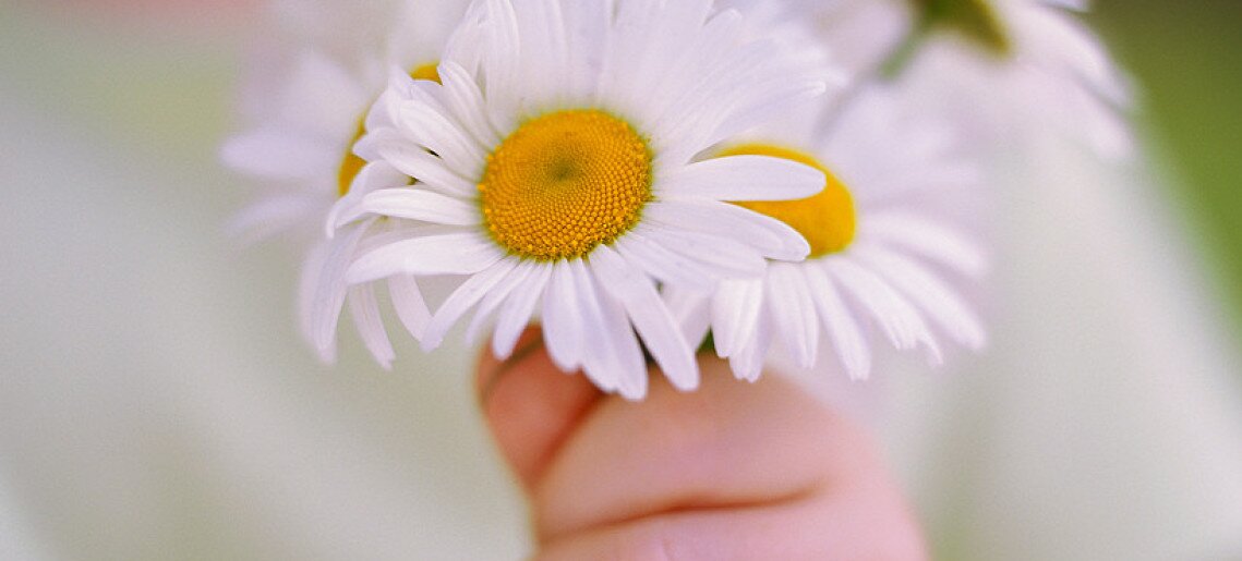 Városi anyák napja