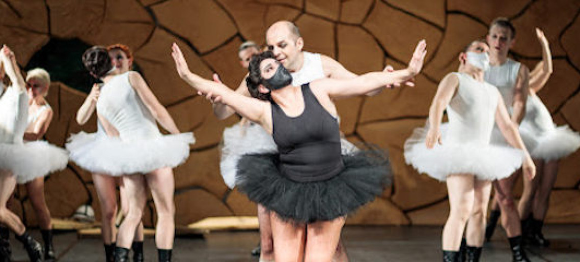 Swan Lake Revisited - Hattyúk tava újratöltve