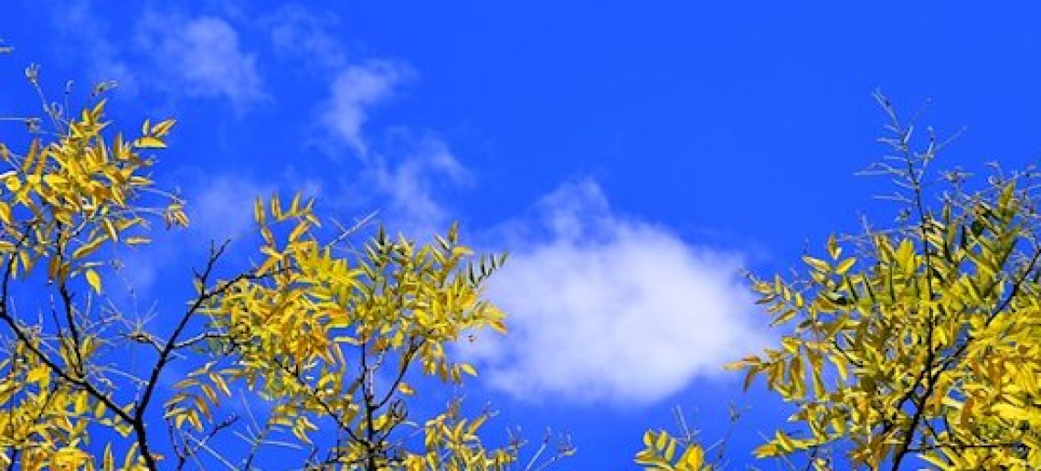 25 éves a Gyulai Nyugdíjasok Érdekvédelmi Egyesülete