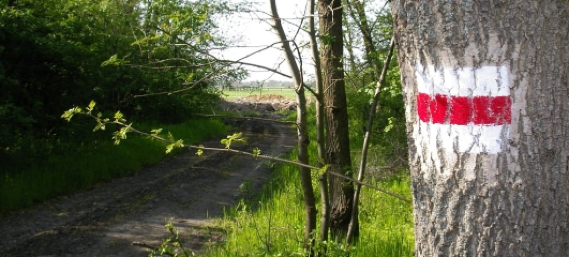 27. Mályvád teljesítménytúra