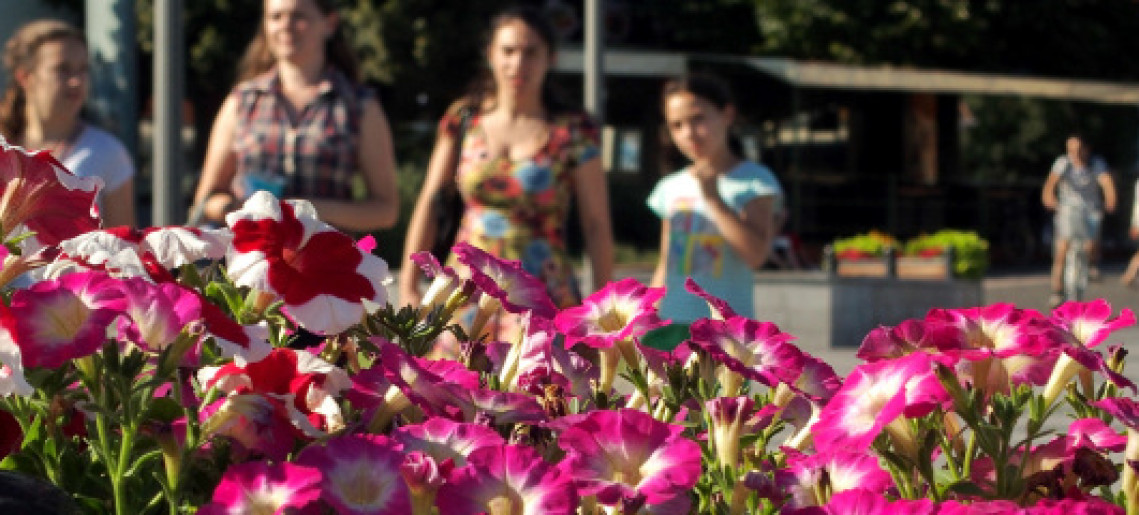 Gyulai Nyárnyitó Fesztivál