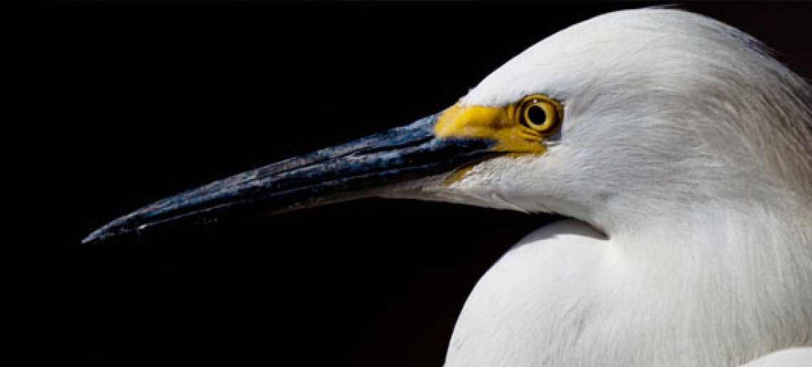 A Wenckheim kastély és a Kígyósi tanösvény titkai gyalogtúra