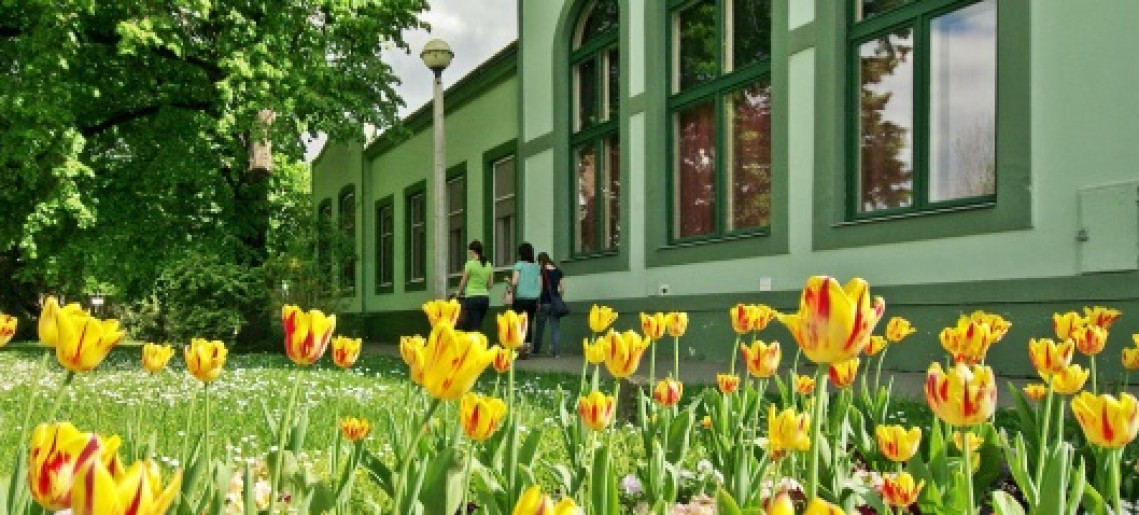 Gyulai Várszínház