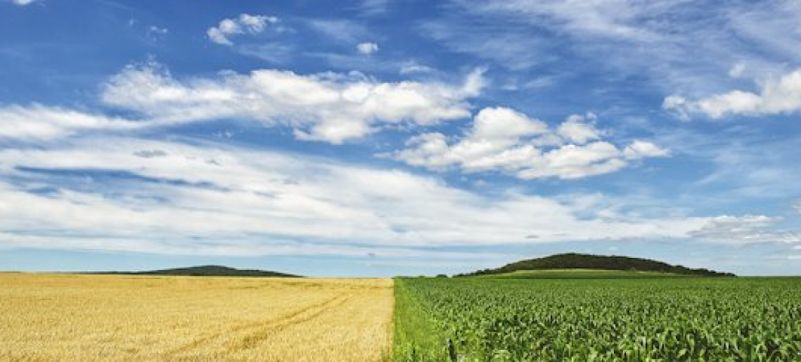Pillanatok a Balaton-felvidékről - kiállítás megnyitó