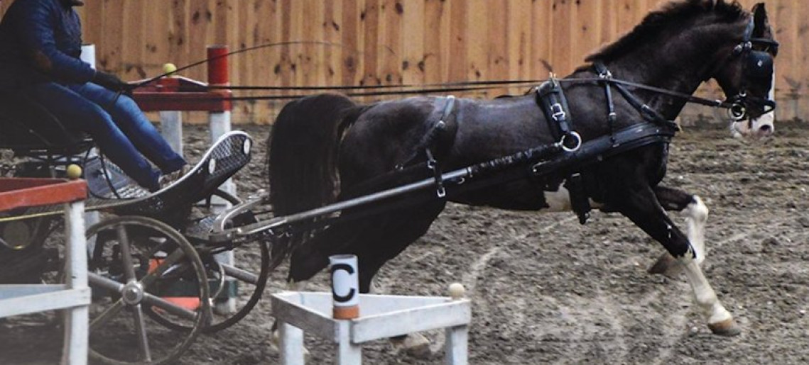 III. Sióréti Fedeles Fogathajtó Bajnokság